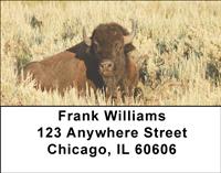 Bison Resting Address Labels
