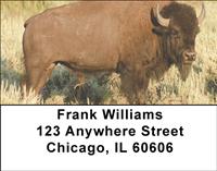 Bison In The Field Address Labels