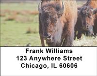 Bison In The Field Address Labels