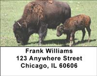 Bison Calf Address Labels