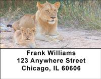 Mother Lion and Cubs Address Labels