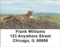 Mother Lion and Cubs Address Labels