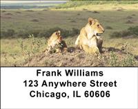 Mother Lion and Cubs Address Labels