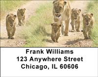 Lions In Training Address Labels