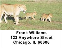 Lions In Training Address Labels