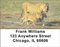 Lions In Training Address Labels