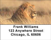 Majestic Lions Address Labels
