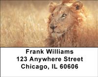 Majestic Lions Address Labels