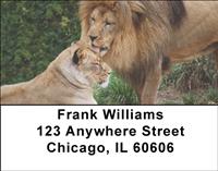 Lion Couples Address Labels