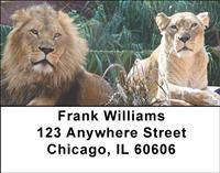 Lion Couples Address Labels