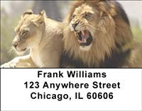 Lion Couples Address Labels