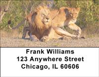Lion Couples Address Labels