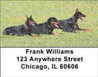 Resting Dobermans Address Labels