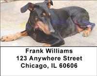 Resting Dobermans Address Labels
