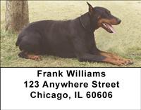 Resting Dobermans Address Labels