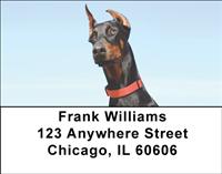 Curious Dobermans Address Labels
