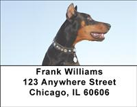 Curious Dobermans Address Labels