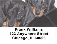 Doberman Puppies Address Labels