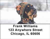 Trendy Doberman Address Labels