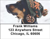 Trendy Doberman Address Labels
