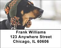 Trendy Doberman Address Labels