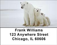 Mama Bear and Cubs Address Labels