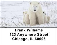 Mama Bear and Cubs Address Labels