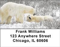Playful Polar Bears Address Labels