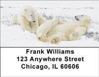Playful Polar Bears Address Labels