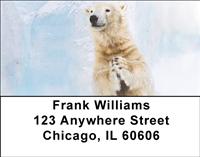 Silly Polar Bear Address Labels