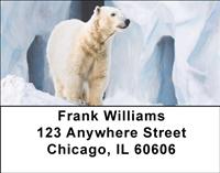 Silly Polar Bear Address Labels