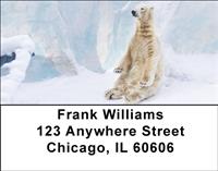 Silly Polar Bear Address Labels
