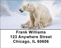 Silly Polar Bear Address Labels