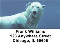 Polar Bear Underwater Address Labels