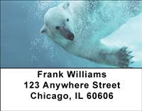 Polar Bear Underwater Address Labels