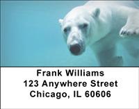 Polar Bear Underwater Address Labels