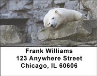 Mighty Polar Bears Address Labels
