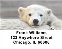 Polar Bear Cubs Address Labels