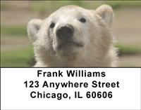 Polar Bear Cubs Address Labels