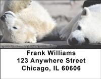 Polar Bear Cubs Address Labels