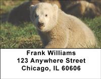 Polar Bear Cubs Address Labels