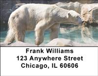 Polar Bears Chilling Address Labels