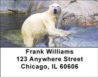 Polar Bears Chilling Address Labels