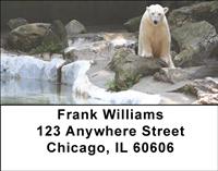 Polar Bears Chilling Address Labels