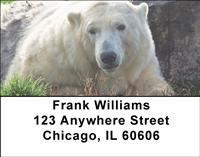 Resting Polar Bears Address Labels