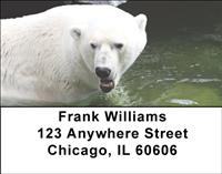 Swimming Polar Bears Address Labels