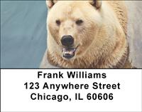 Swimming Polar Bears Address Labels