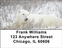 Comfortable Polar Bears Address Labels