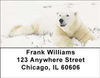 Comfortable Polar Bears Address Labels
