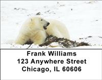 Comfortable Polar Bears Address Labels